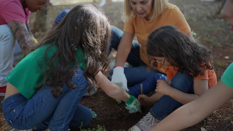 How Our Tree Care Process Works  in  Anthony, TX